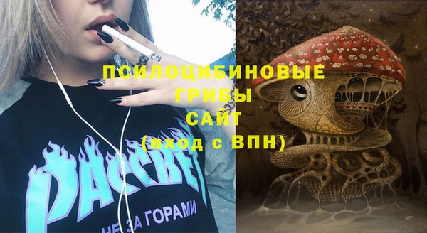 ПСИЛОЦИБИНОВЫЕ ГРИБЫ Алексеевка
