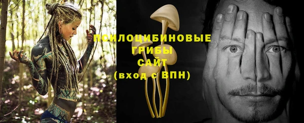 мяу мяу мука Алексин